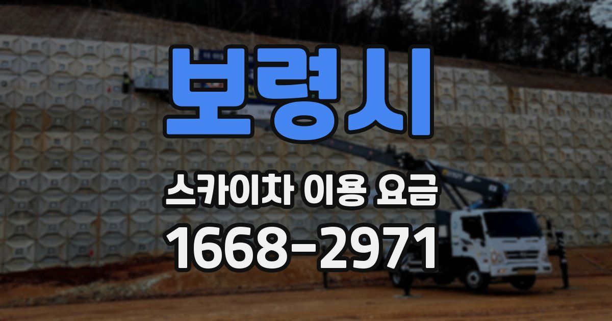 보령시 스카이차 이용 요금