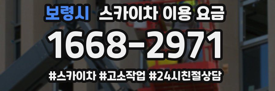 보령시 스카이차 이용 요금