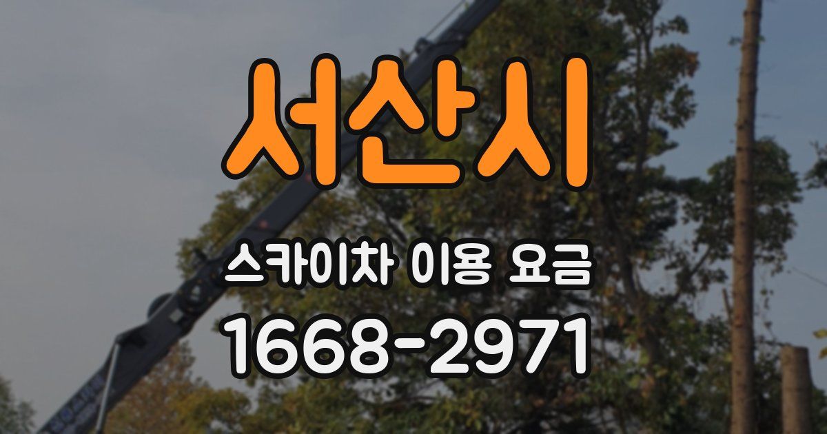 서산시 스카이차 이용 요금