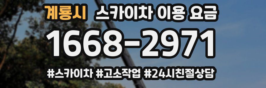 계룡시 스카이차 이용 요금