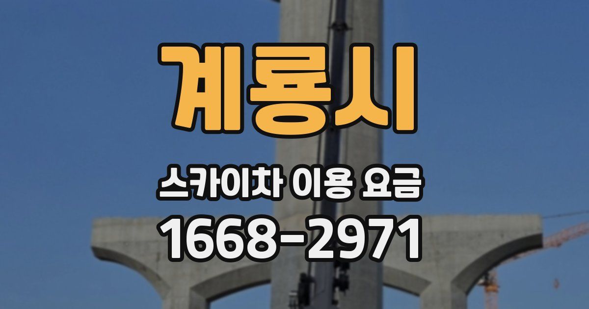 계룡시 스카이차 이용 요금