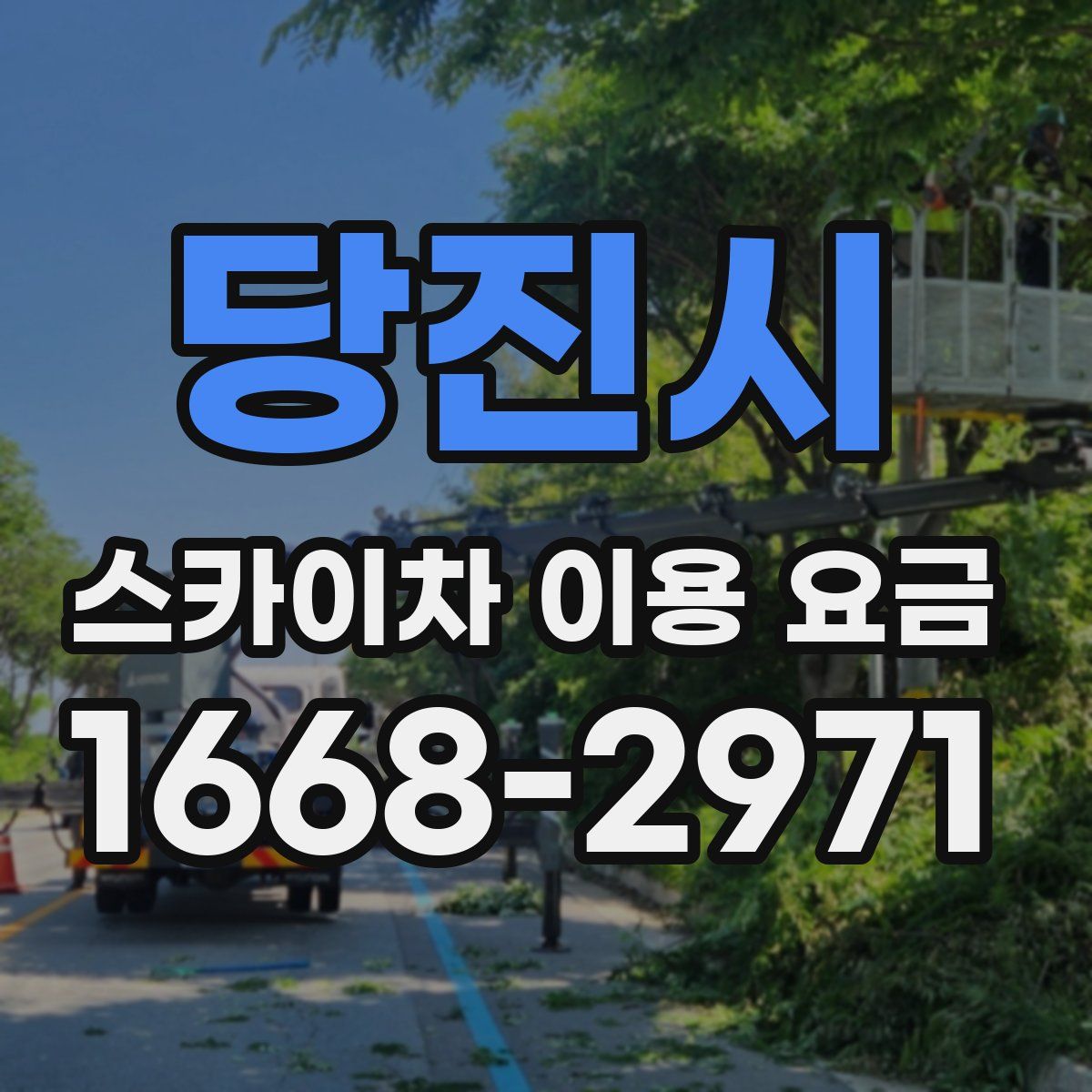 당진시 스카이차 이용 요금