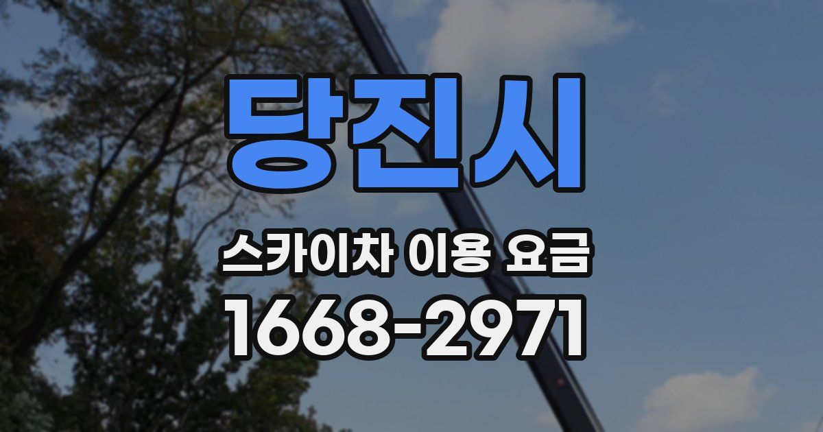 당진시 스카이차 이용 요금