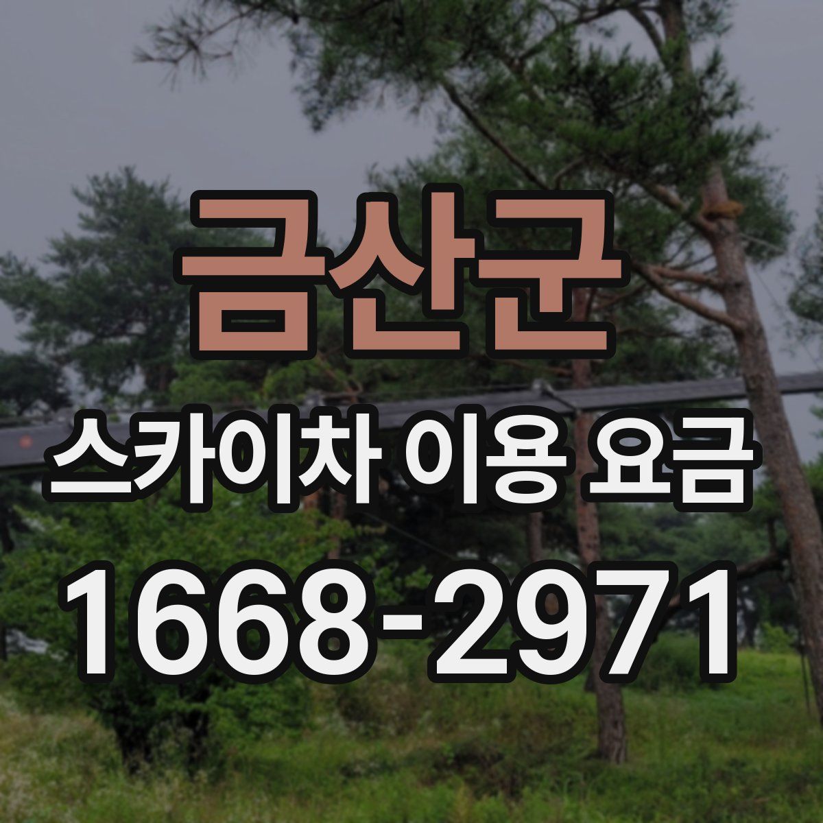 금산군 스카이차 이용 요금