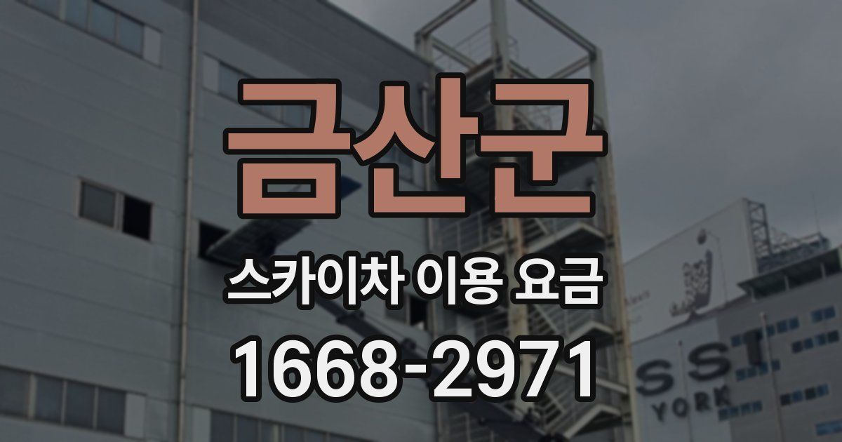 금산군 스카이차 이용 요금