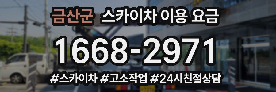금산군 스카이차 이용 요금