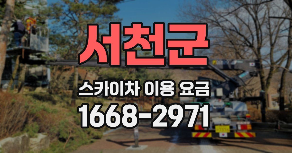 서천군 스카이차 이용 요금