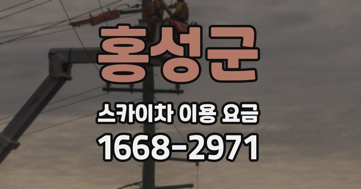 홍성군 스카이차 이용 요금