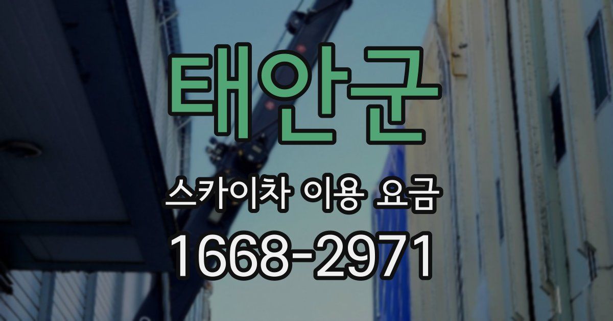 태안군 스카이차 이용 요금