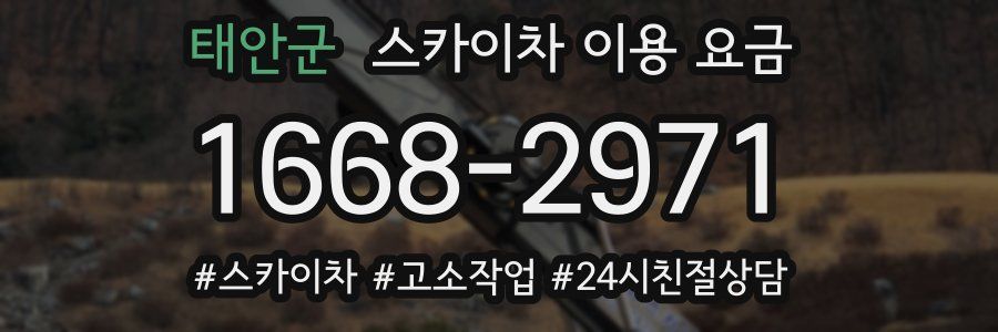 태안군 스카이차 이용 요금