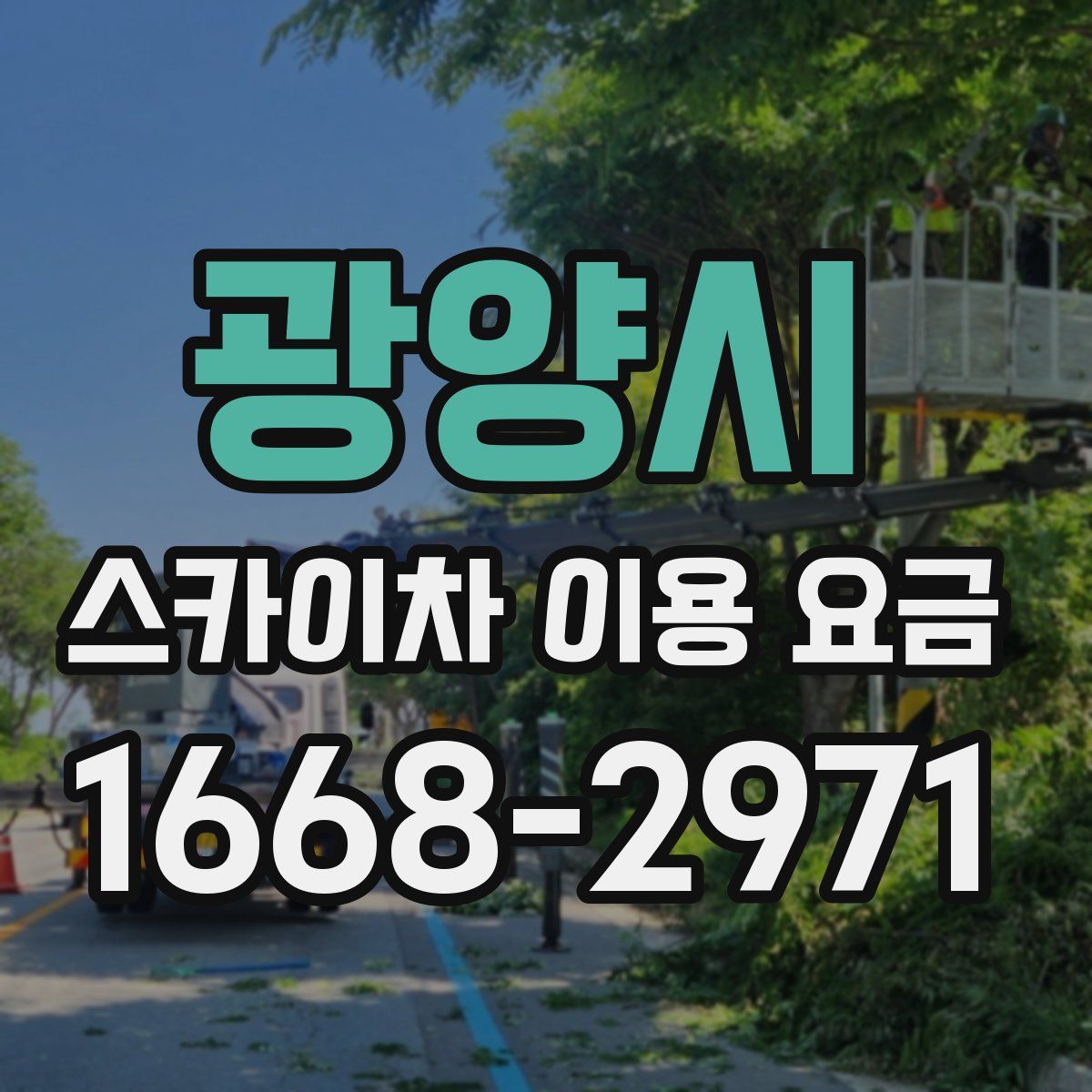 광양시 스카이차 이용 요금