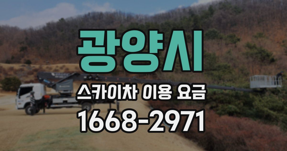 광양시 스카이차 이용 요금