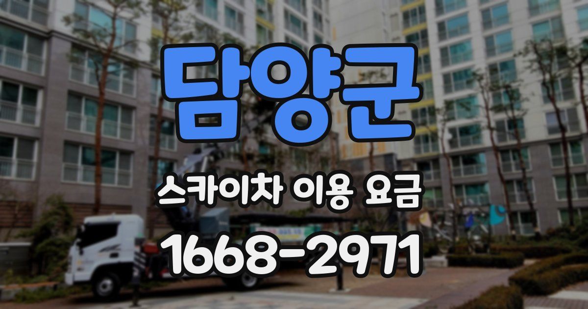 담양군 스카이차 이용 요금