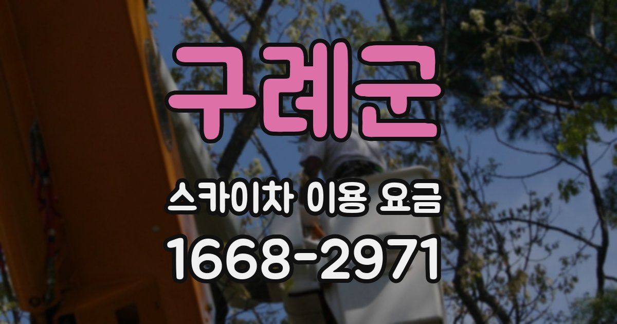 구례군 스카이차 이용 요금