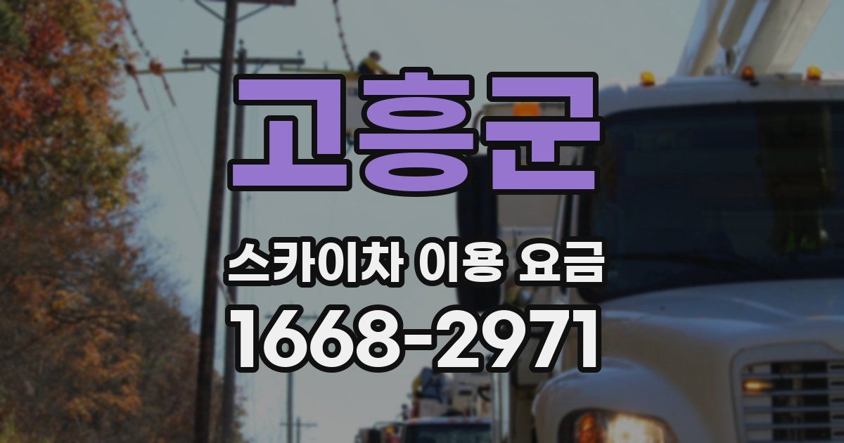 고흥군 스카이차 이용 요금