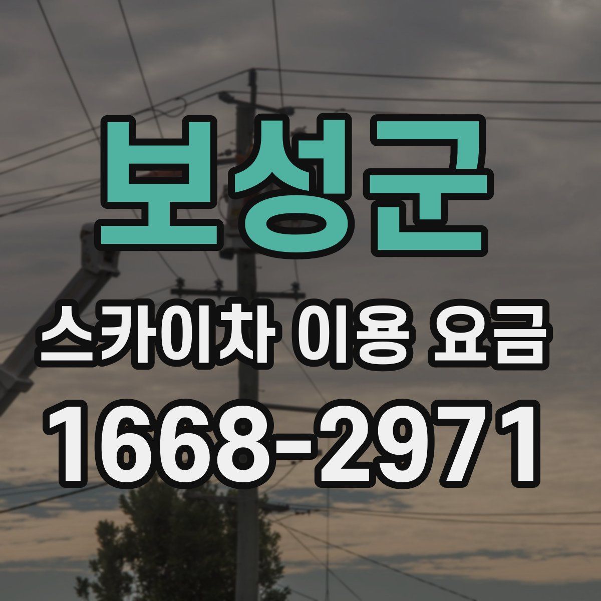보성군 스카이차 이용 요금