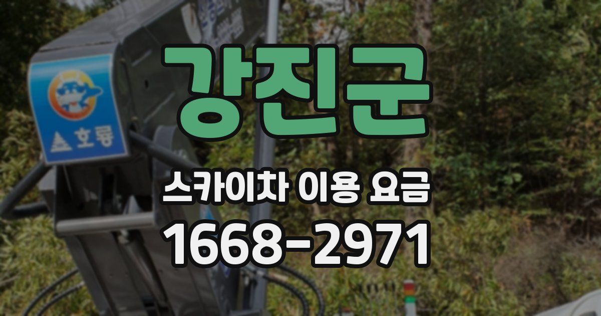 강진군 스카이차 이용 요금