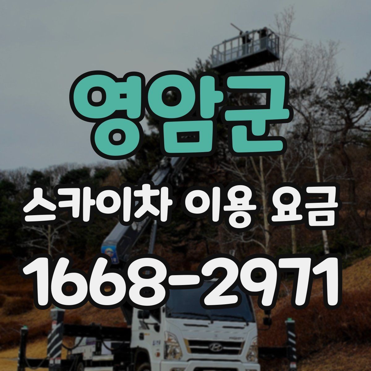 영암군 스카이차 이용 요금 확인 전에 알아야 할 기본 정보