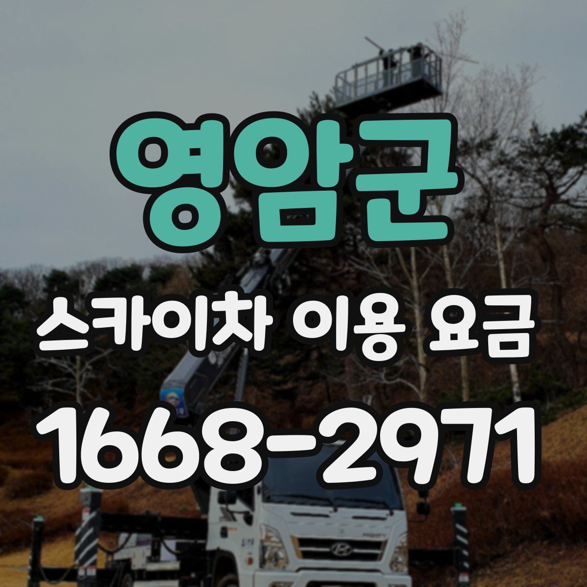 영암군 스카이차 이용 요금