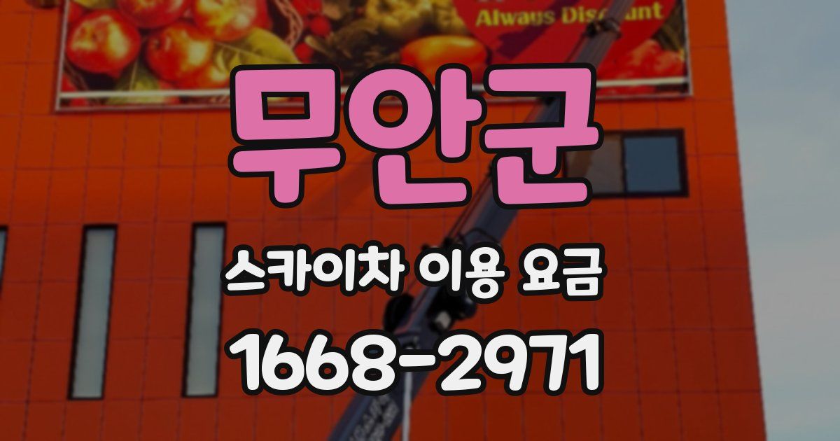 무안군 스카이차 이용 요금