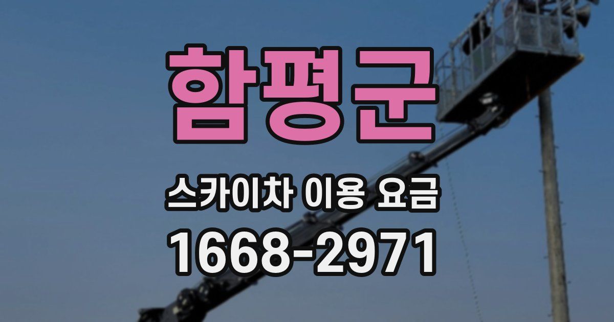 함평군 스카이차 이용 요금