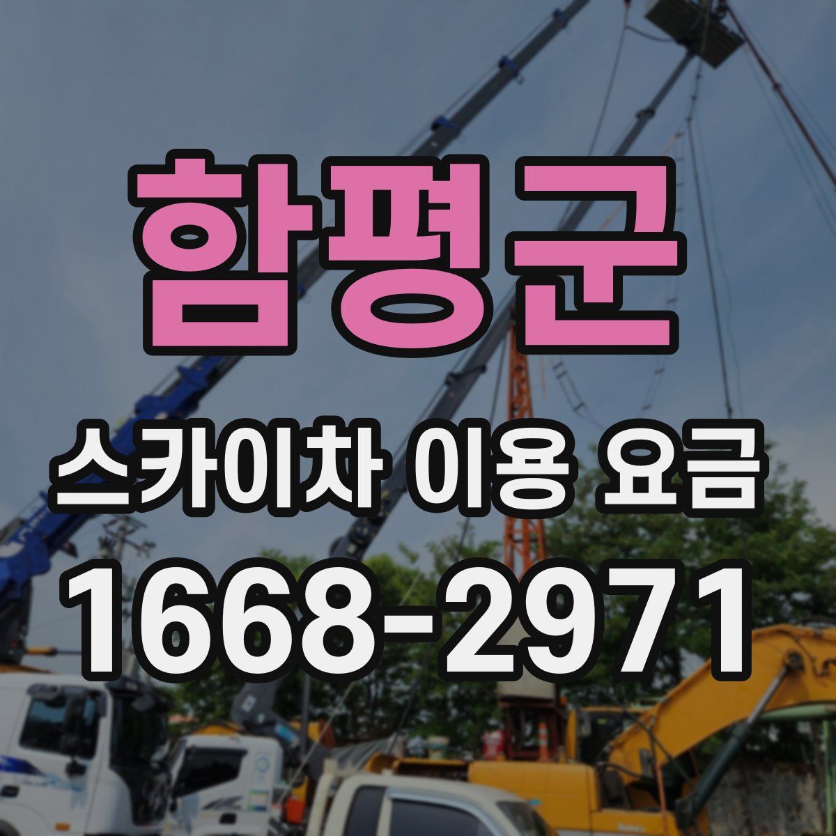 함평군 스카이차 이용 요금
