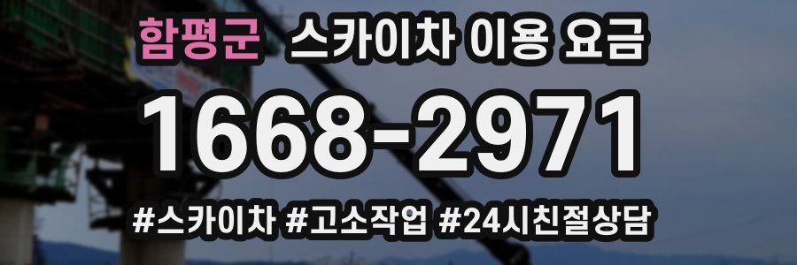 함평군 스카이차 이용 요금