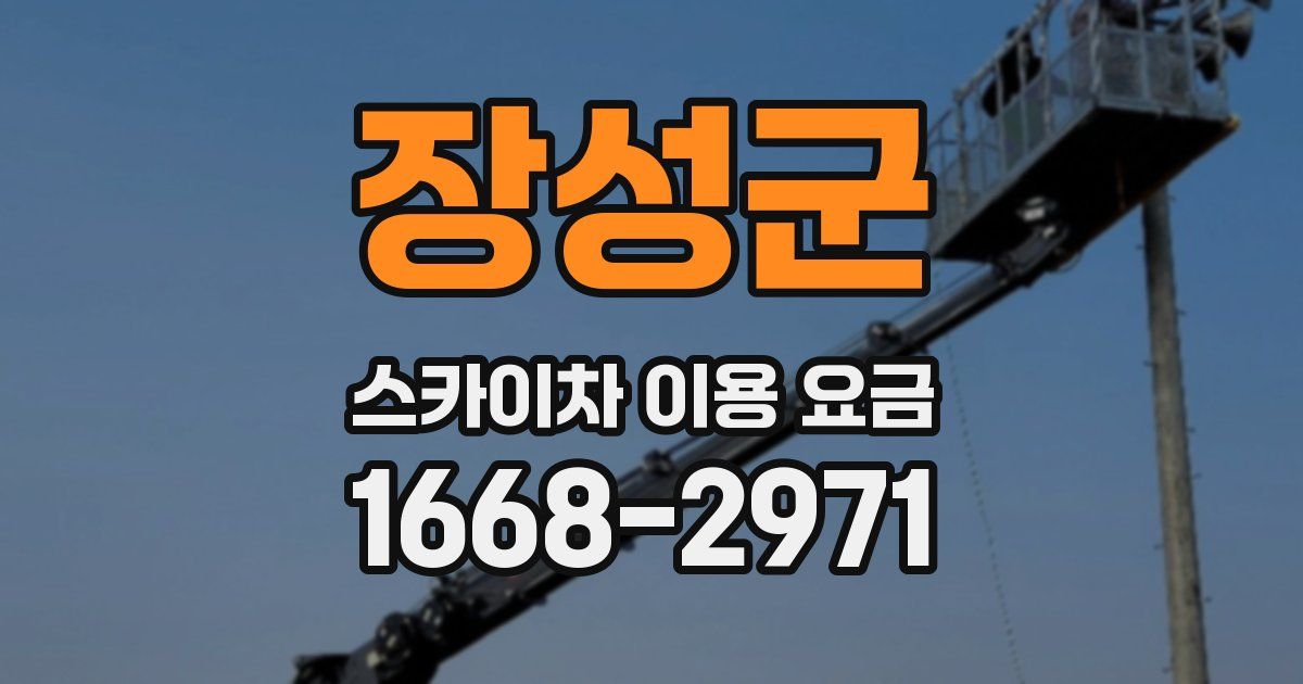 장성군 스카이차 이용 요금