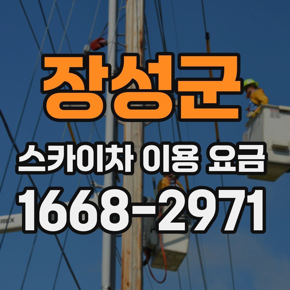 장성군 스카이차 이용 요금