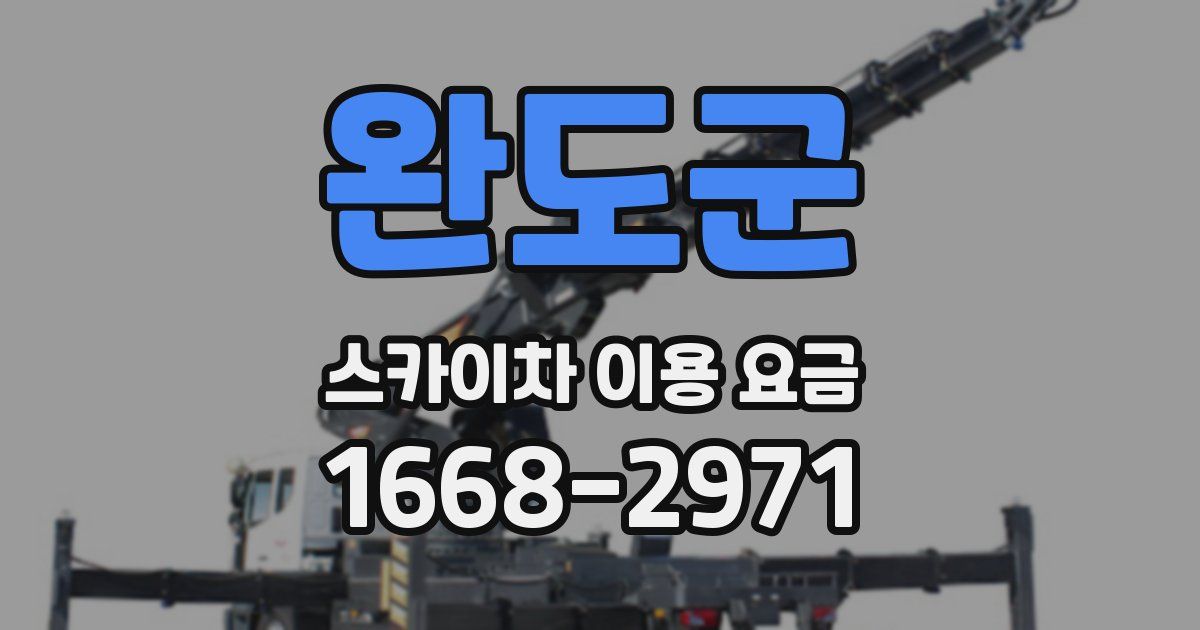 완도군 스카이차 이용 요금