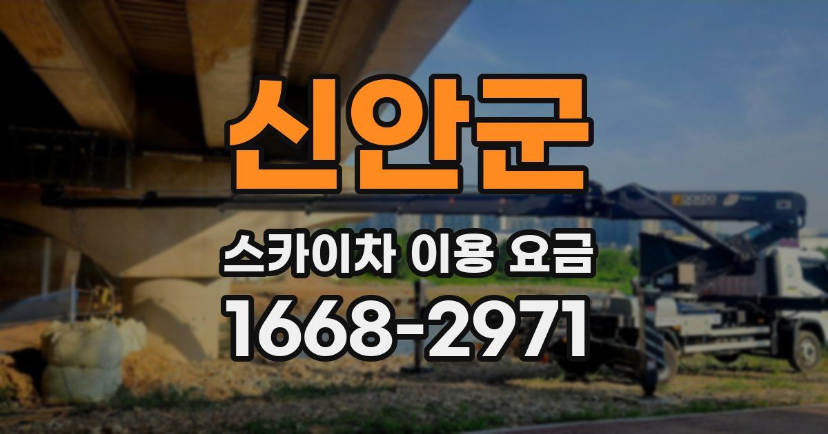 신안군 스카이차 이용 요금