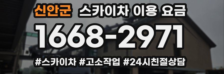 신안군 스카이차 이용 요금