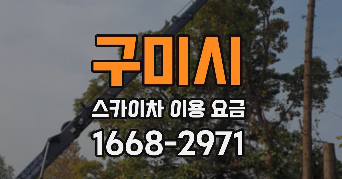 구미시 스카이차 이용 요금