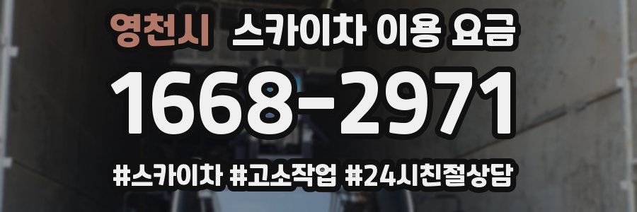 영천시 스카이차 이용 요금