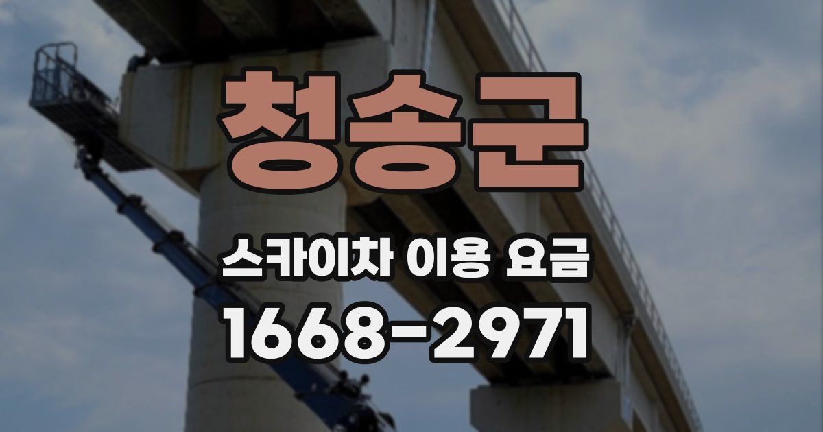 청송군 스카이차 이용 요금
