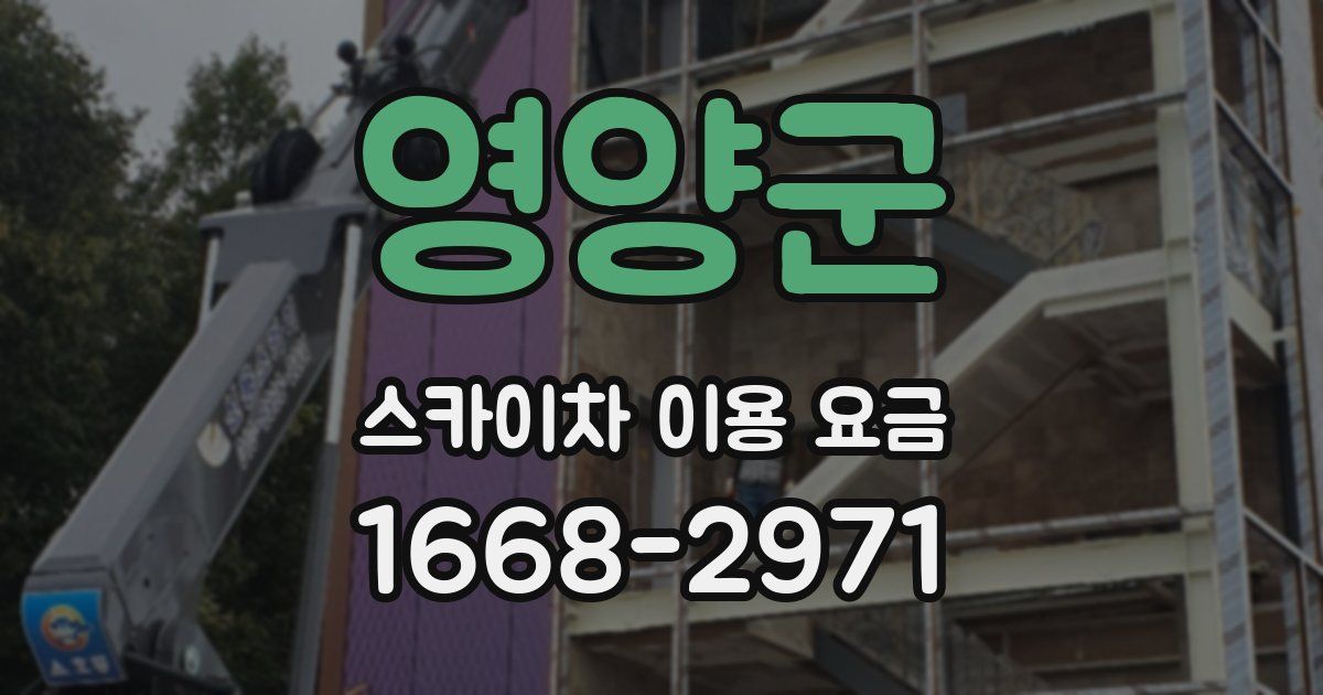 영양군 스카이차 이용 요금