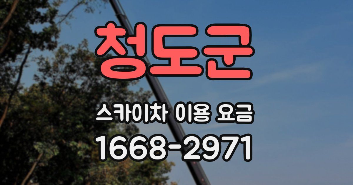 청도군 스카이차 이용 요금