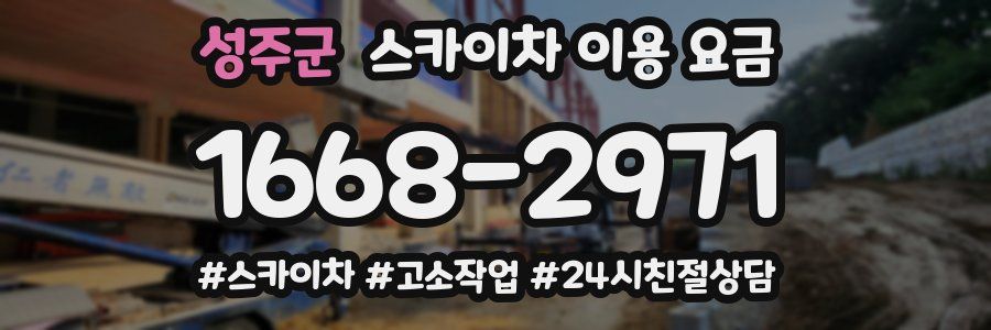 성주군 스카이차 이용 요금