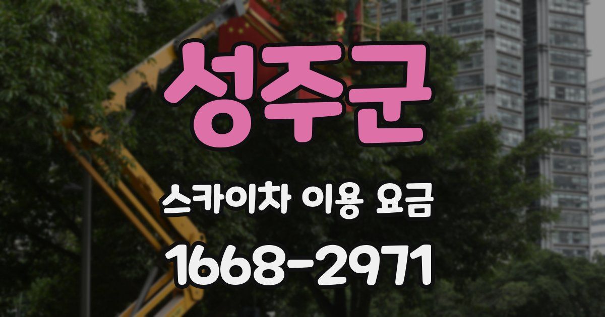 성주군 스카이차 이용 요금