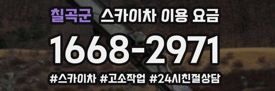 칠곡군 스카이차 이용 요금