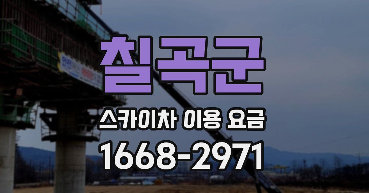칠곡군 스카이차 이용 요금