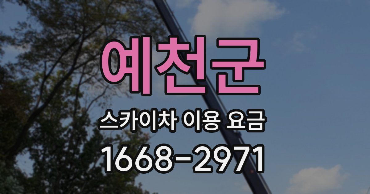 예천군 스카이차 이용 요금