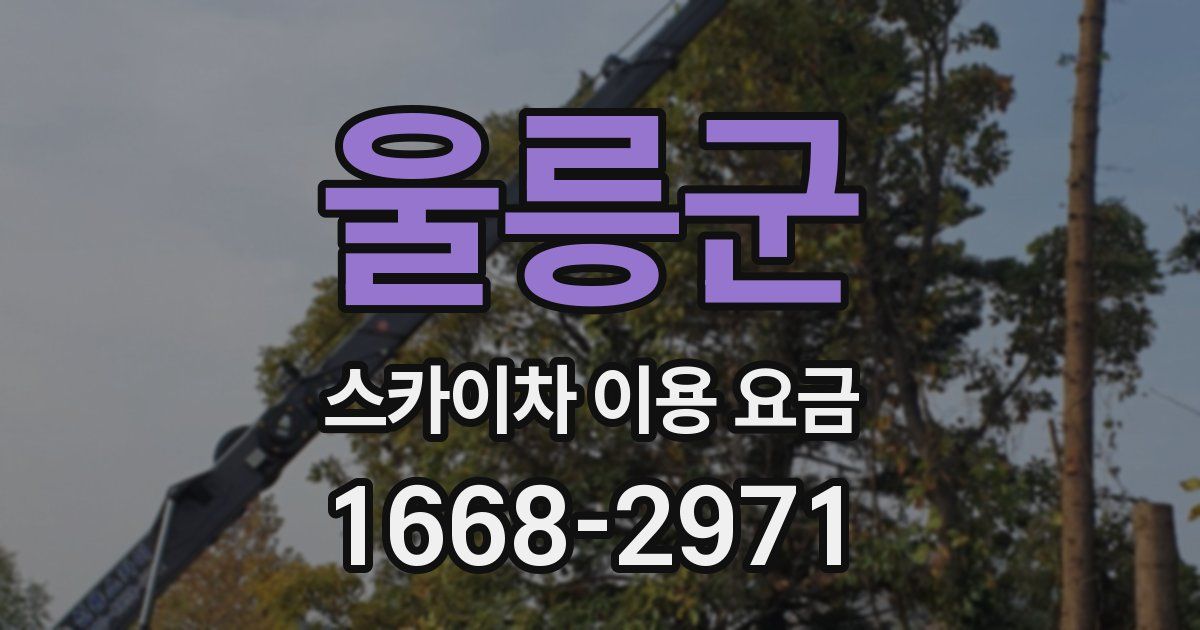 울릉군 스카이차 이용 요금