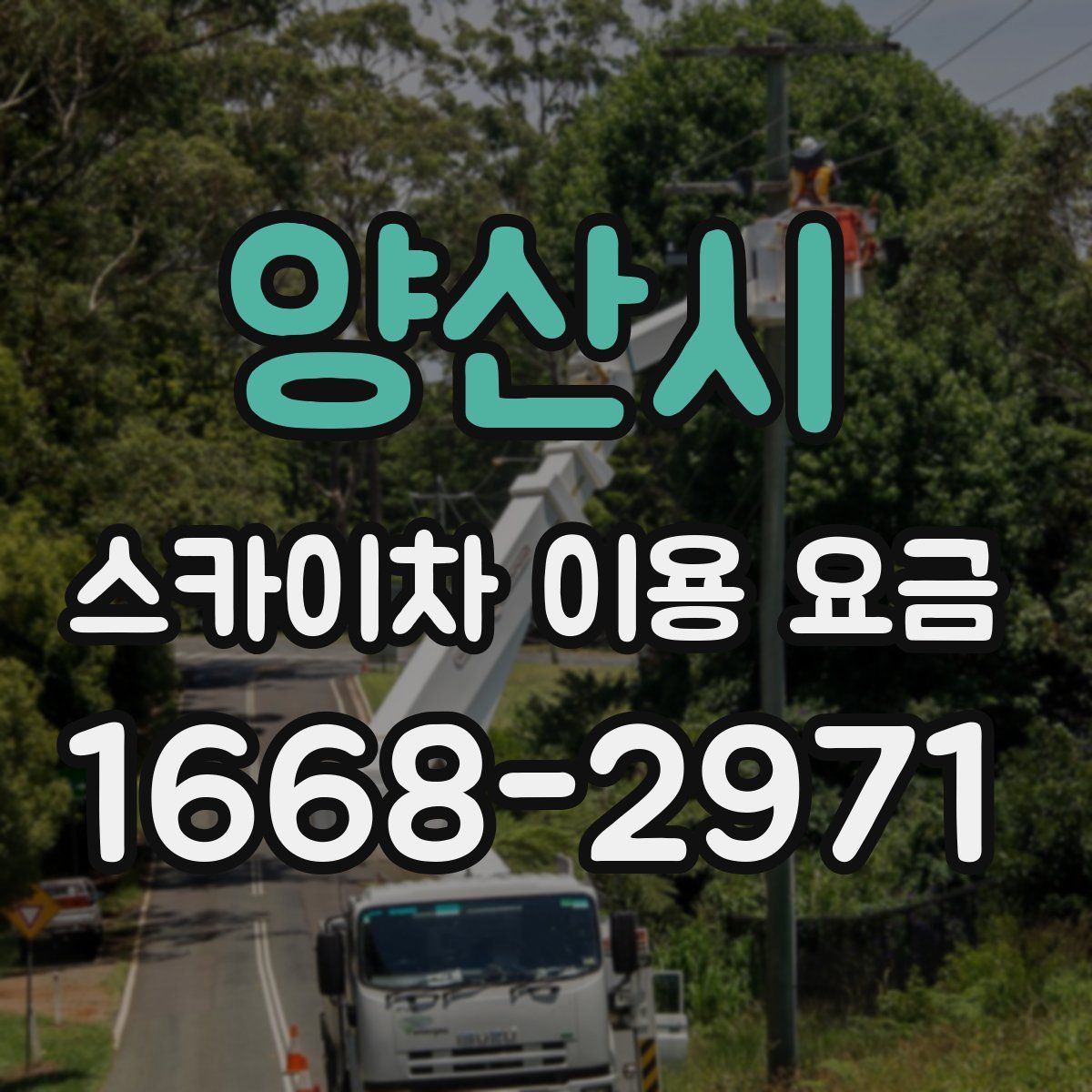 양산시 스카이차 이용 요금