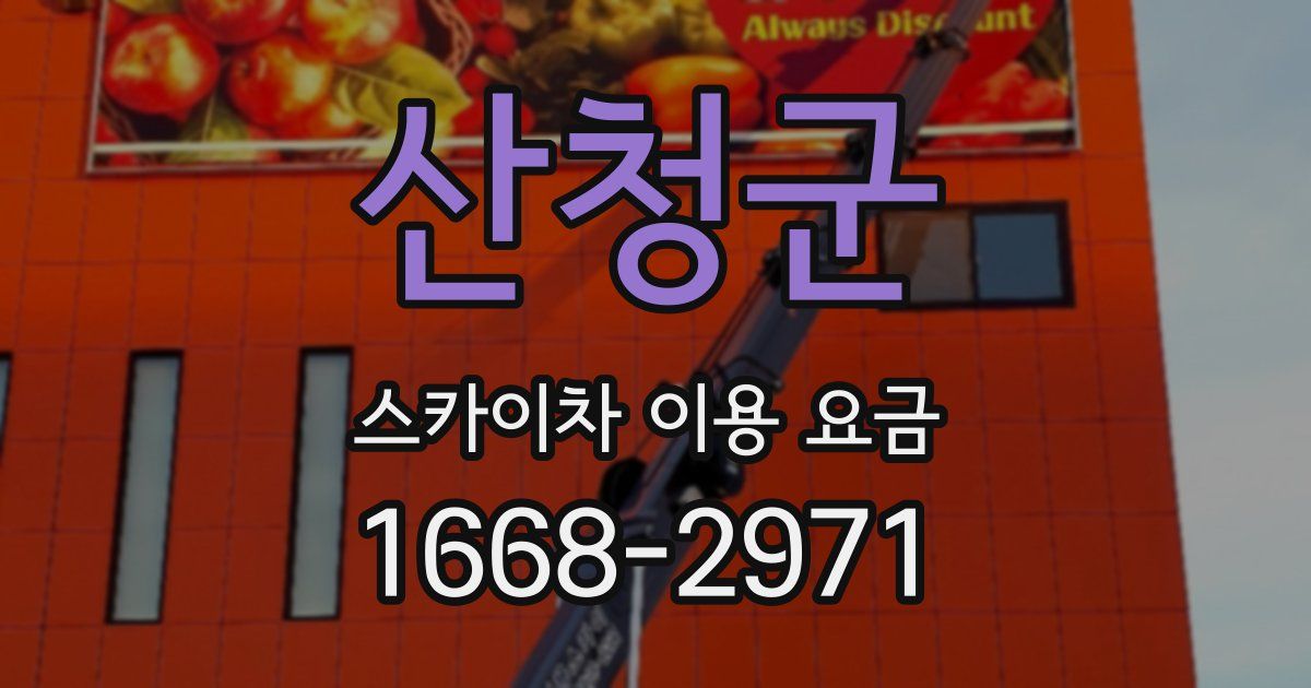 산청군 스카이차 이용 요금