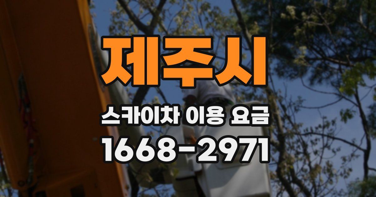 제주시 스카이차 이용 요금