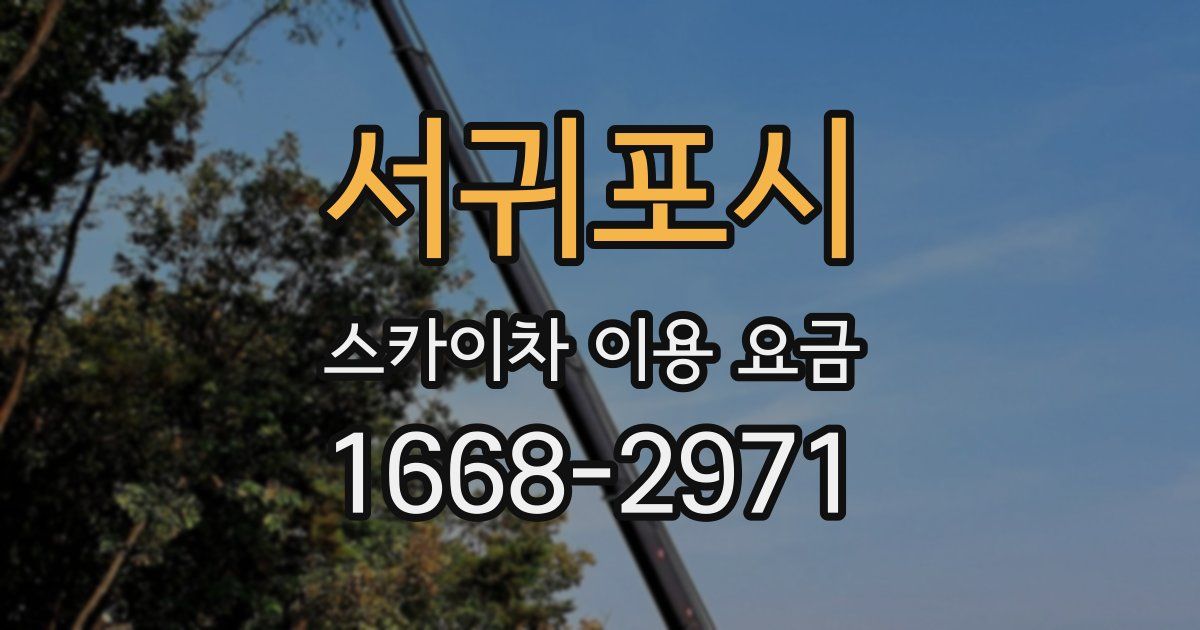 서귀포시 스카이차 이용 요금