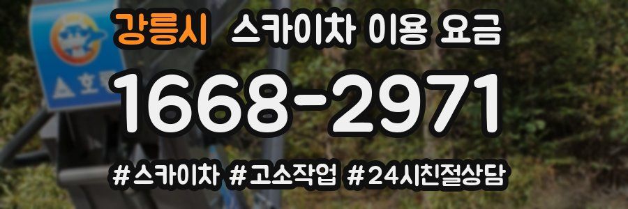 강릉시 스카이차 이용 요금