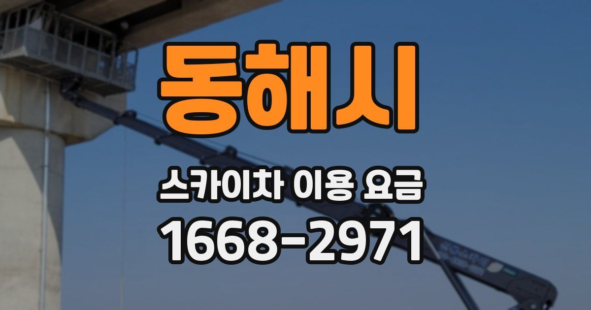 동해시 스카이차 이용 요금