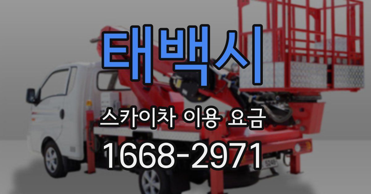 태백시 스카이차 이용 요금